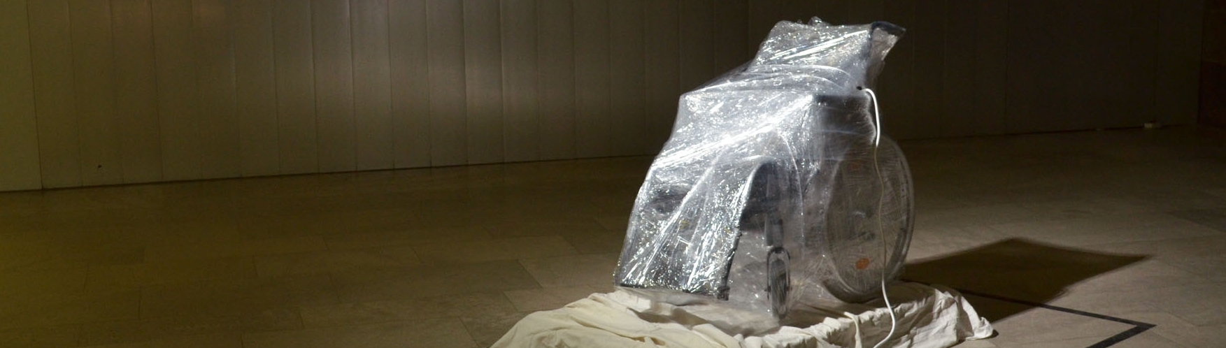 Metamorphose I 2019 I Friedrich Zirm