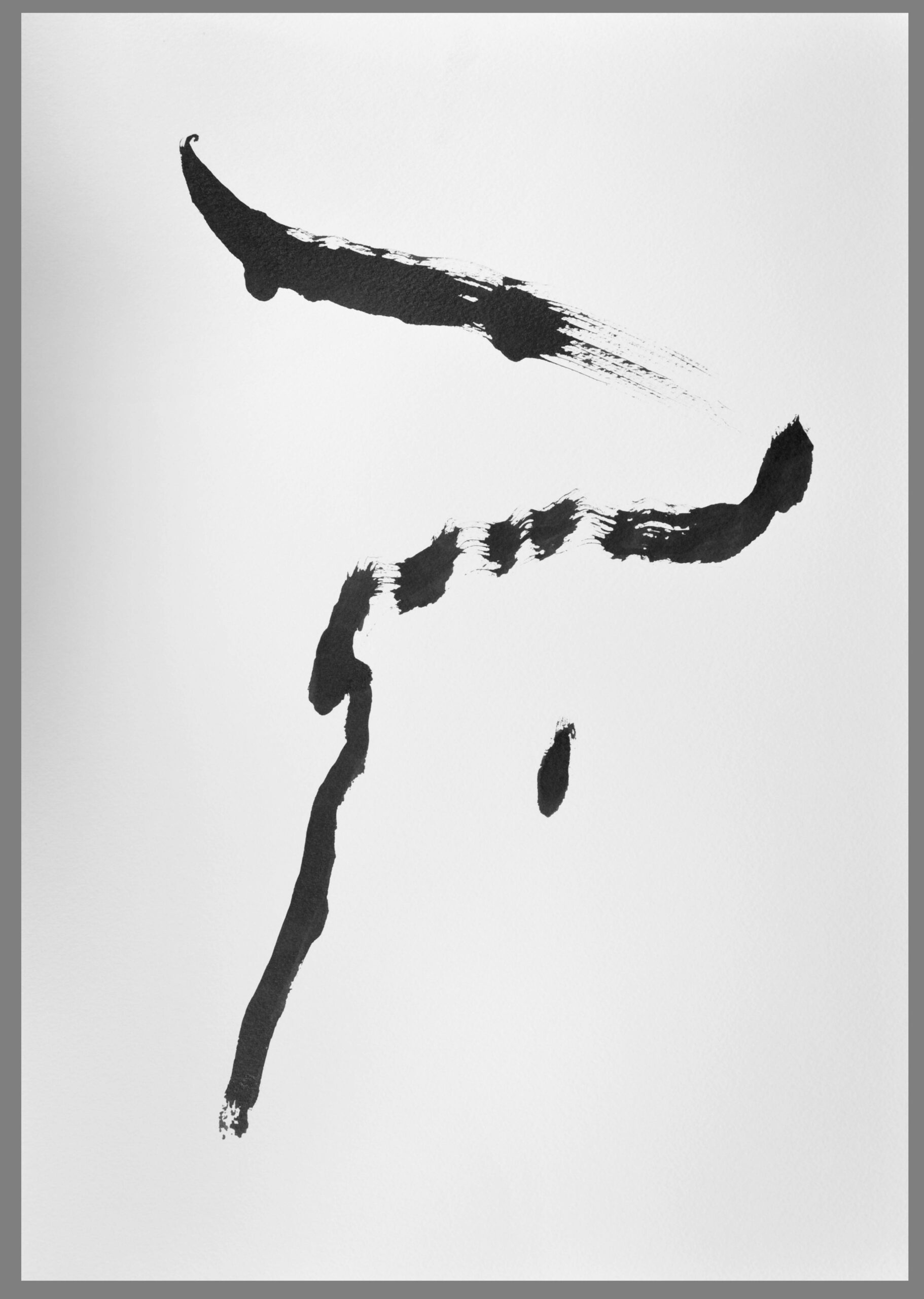 TUS_karton_50x35_oJ-0013