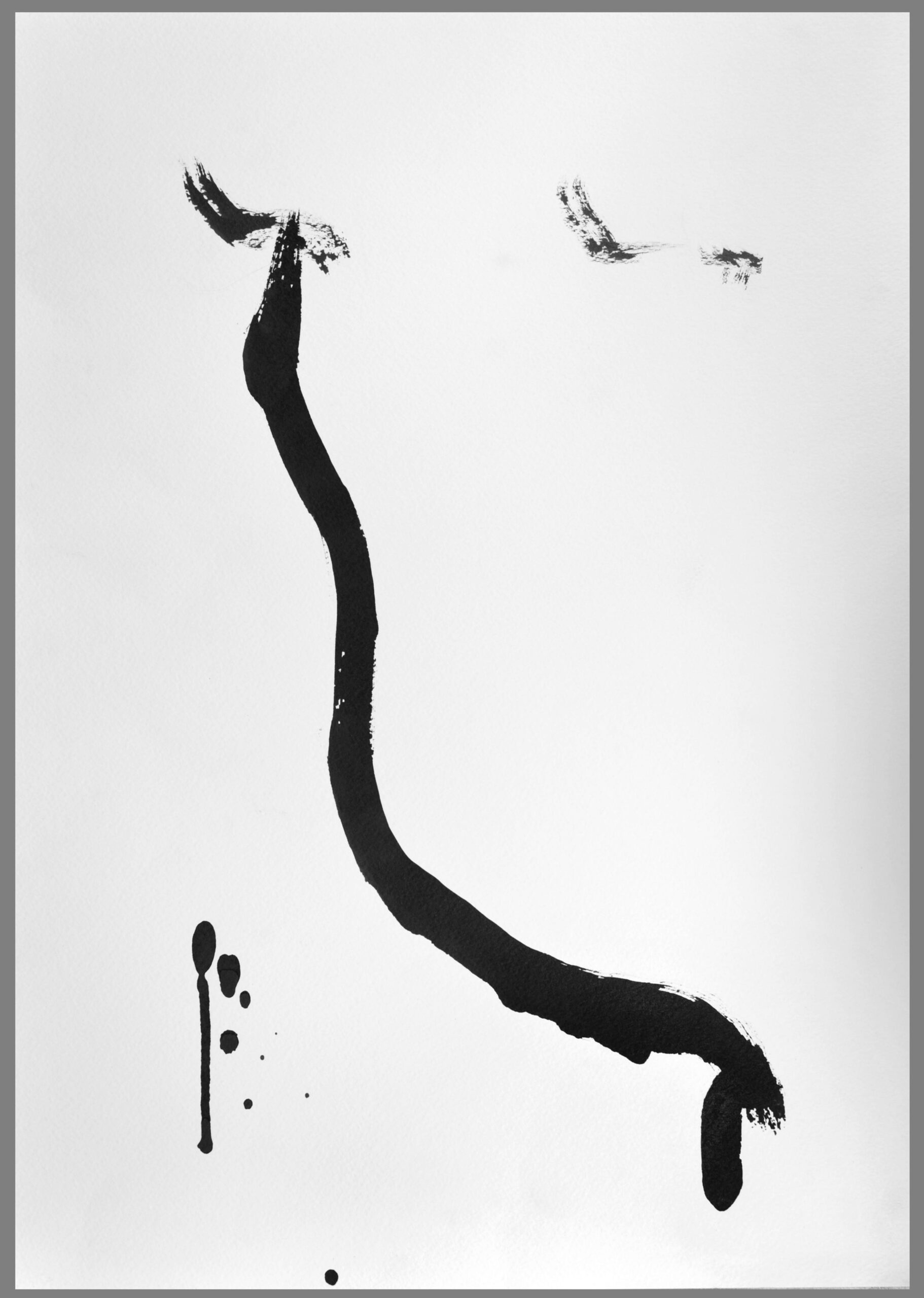 TUS_karton_50x35_oJ-0021