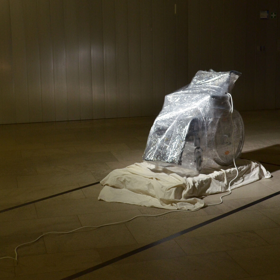 Metamorphose I 2019 I Friedrich Zirm