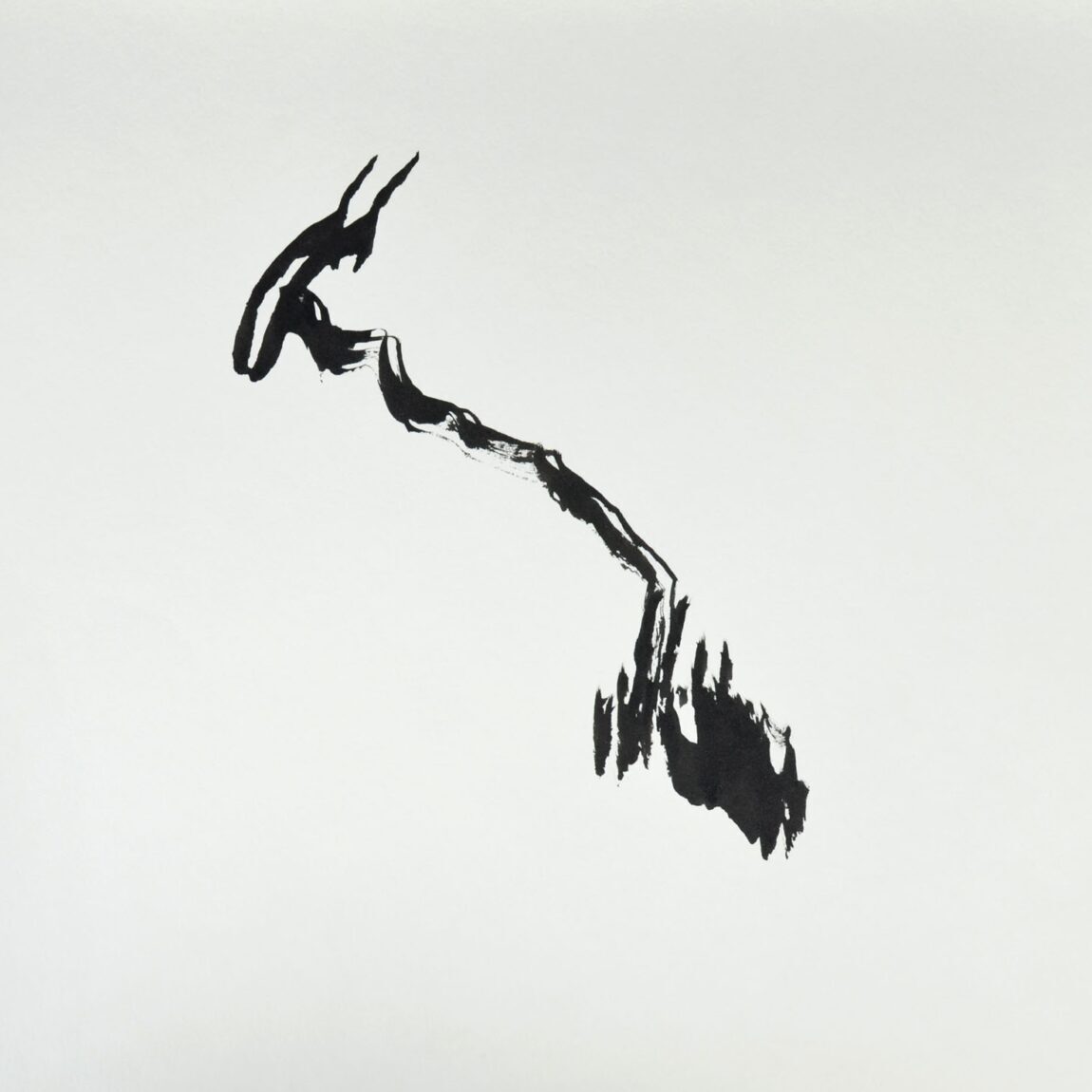 a-TUS_karton_oJ_35x50-0023